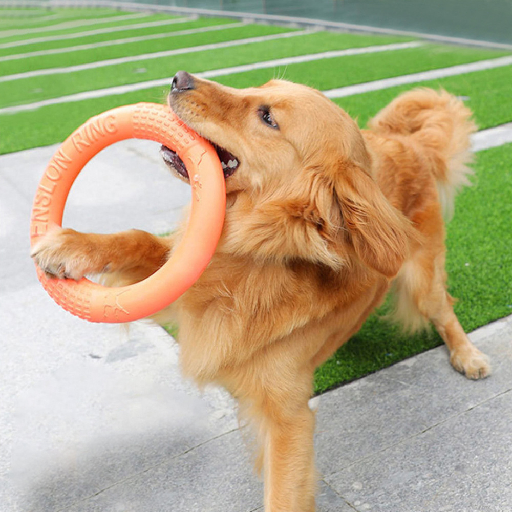 1pc Orange Dog Toys Pet Flying - Indestructible Dog Chew Toy recensione e prezzo