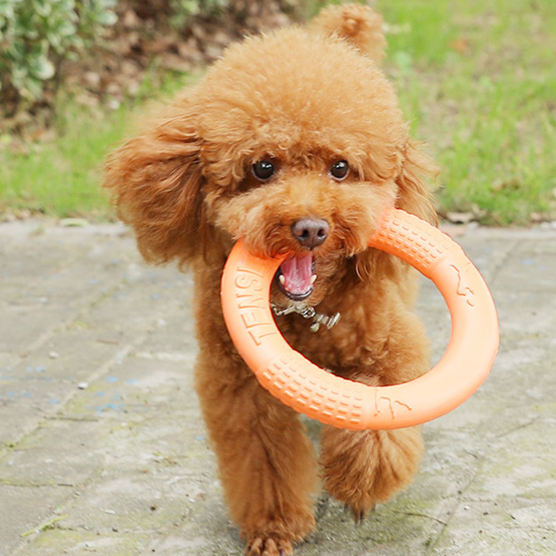 1pc Orange Dog Toys Pet Flying - Indestructible Dog Chew Toy recensione e prezzo