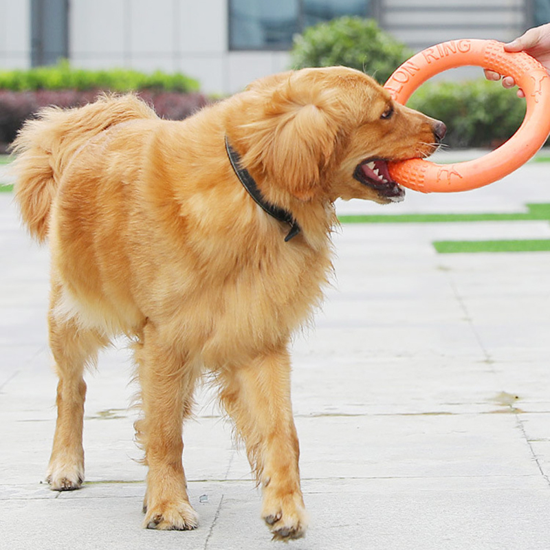 1pc Orange Dog Toys Pet Flying - Indestructible Dog Chew Toy recensione e prezzo