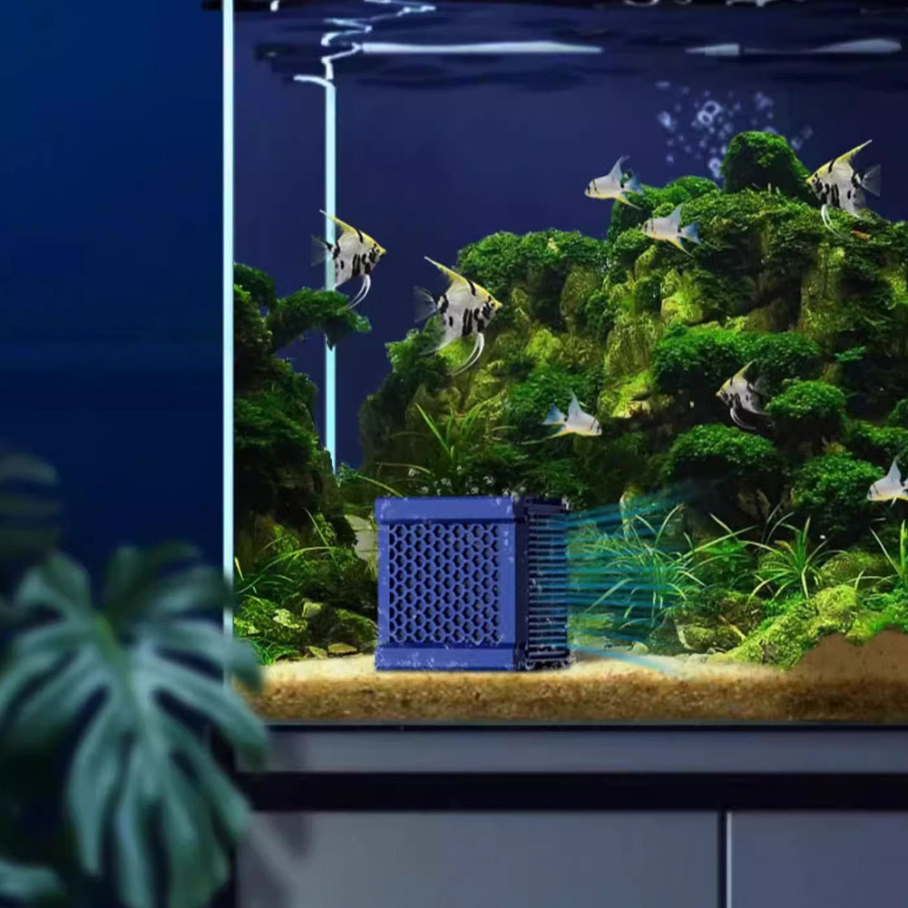 Filtro a Carbone Attivo per Ma - Aquarium recensione e prezzo