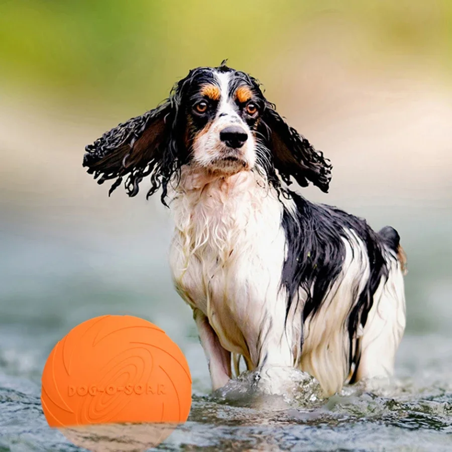 Gioco per cani di taglia grand - Flying Disc Dog Training Toy recensione e prezzo