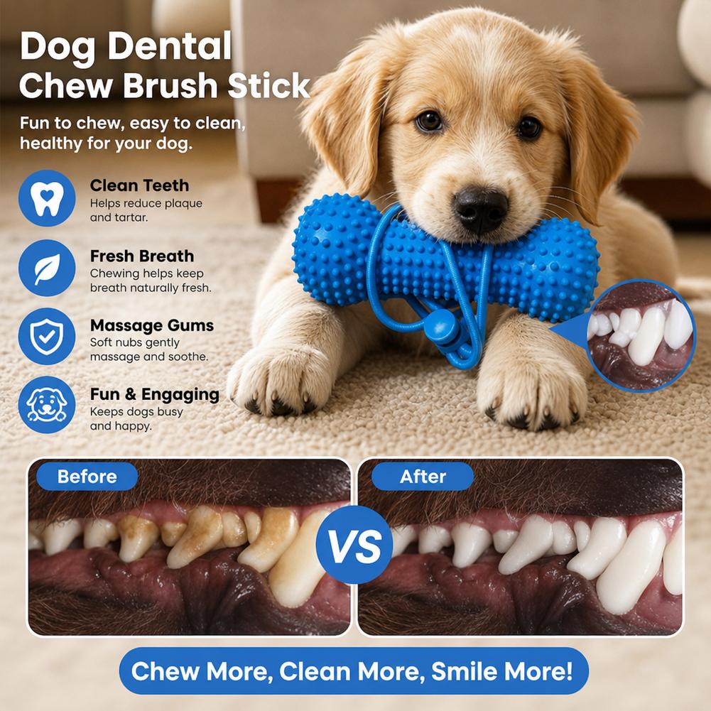 Bastoncino da masticare per ca - Teeth Cleaning Dog Chew Bone recensione e prezzo