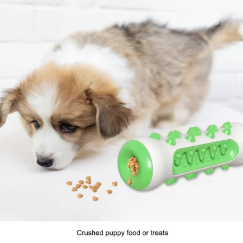 1 pezzo: giocattolo da mastica - Teeth Cleaning Dog Chew Bone recensione e prezzo